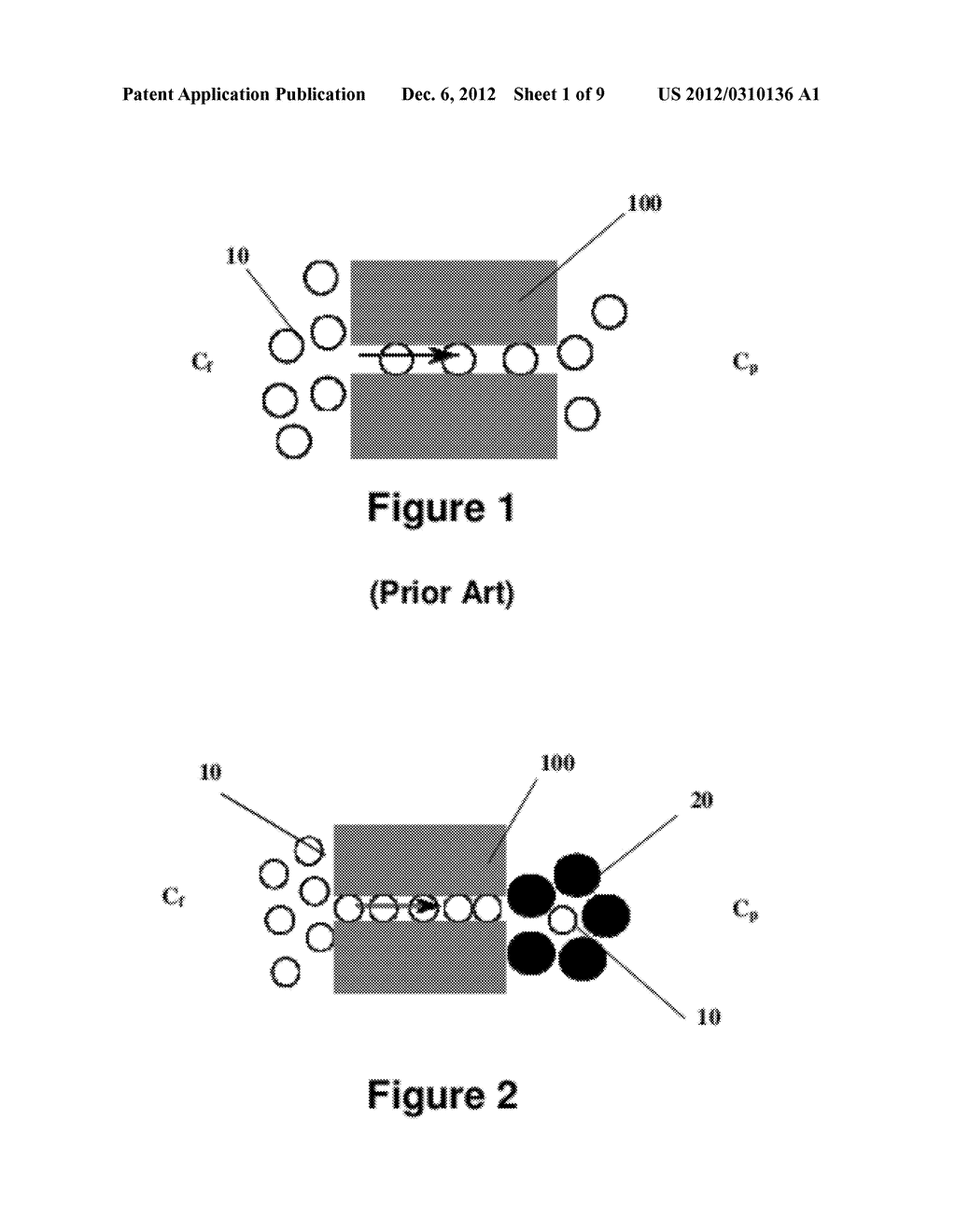 SELECTIVE ULTRAFILTRATION MEMBRANES FOR RENAL REPLACEMENT THERAPIES - diagram, schematic, and image 02