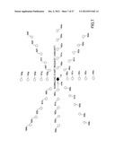 DISTRIBUTION METHOD AND DISTRIBUTION SYSTEM diagram and image