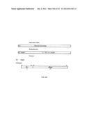 Processor for Executing Wide Operand Operations Using a Control Register     and a Results Register diagram and image