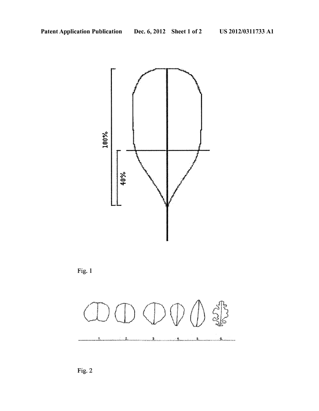 LETTUCE VARIETY 41-122 RZ - diagram, schematic, and image 02