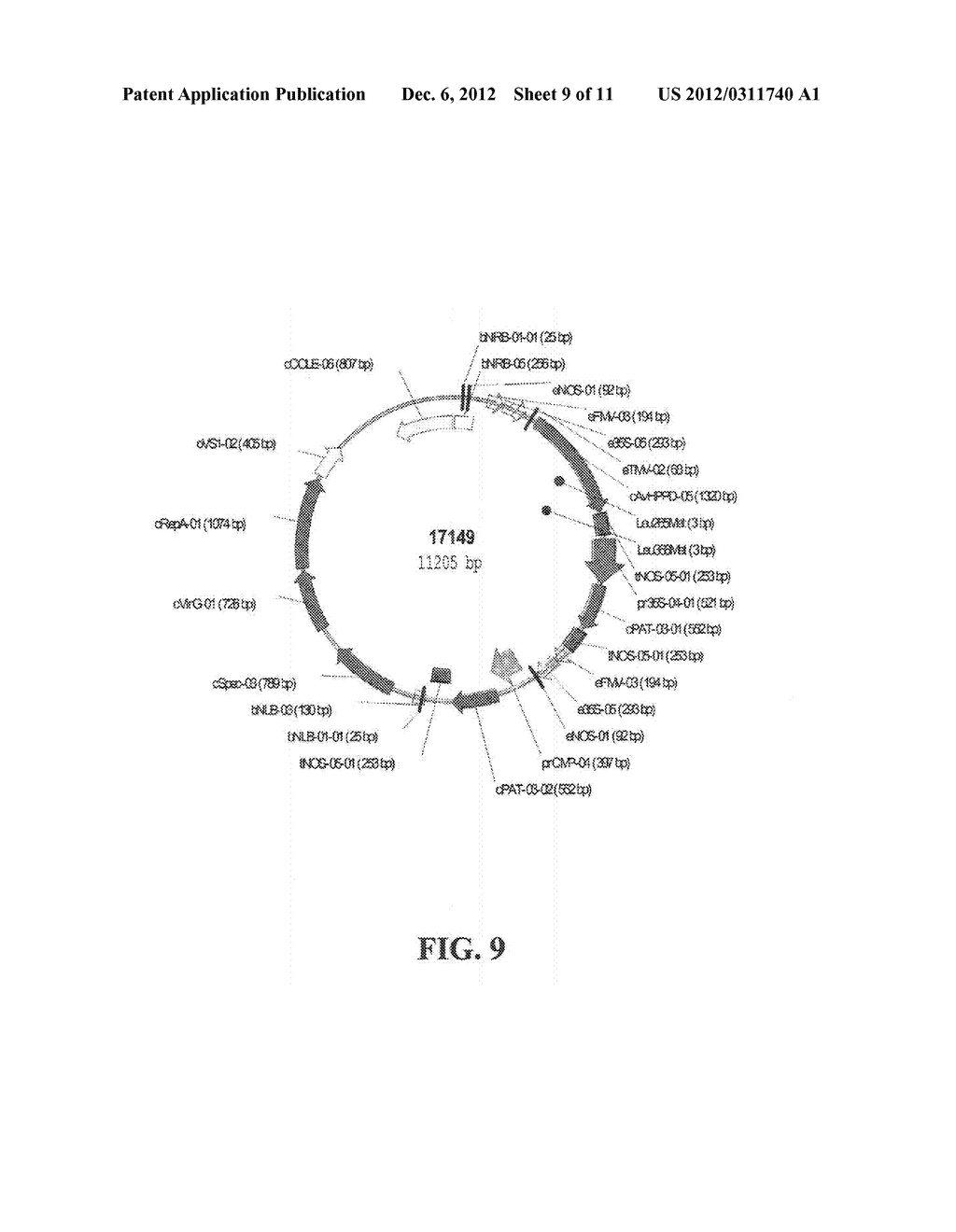 MUTANT HYDROXYPHENYLPYRUVATE DIOXYGENASE POLYPEPTIDES AND METHODS OF USE - diagram, schematic, and image 10