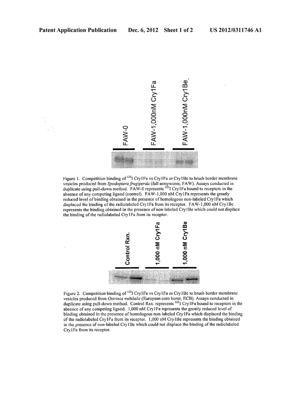 INSECT RESISTANCE MANAGEMENT WITH COMBINATIONS OF CRY1BE AND CRY1F     PROTEINS - diagram, schematic, and image 02