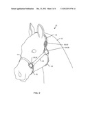 HORSE TRAINING HALTER diagram and image