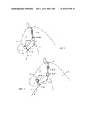 HORSE TRAINING HALTER diagram and image