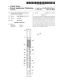 Multi-Stage Downhole Hydraulic Stimulation Assembly diagram and image