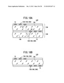 CONDUCTIVE SHEET, METHOD FOR USING CONDUCTIVE SHEET, AND TOUCH PANEL diagram and image