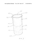 FLUID DISPENSER, SYSTEM AND FILLING PROCESS diagram and image