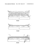 Method For Depositing A Phosphor Layer On LEDs, And Apparatus Made Thereby diagram and image