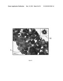 Shrouded-Plasma Process and Apparatus for the Production of Metastable     Nanostructured Materials diagram and image