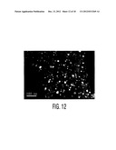 Shrouded-Plasma Process and Apparatus for the Production of Metastable     Nanostructured Materials diagram and image