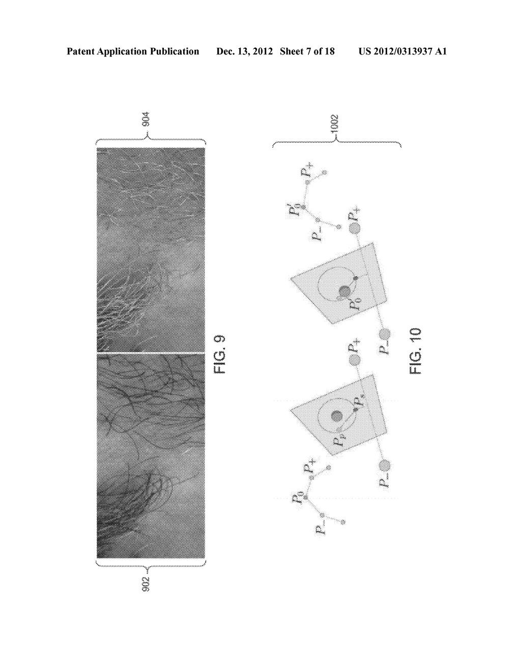 COUPLED RECONSTRUCTION OF HAIR AND SKIN - diagram, schematic, and image 08