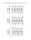 Large Aperture Zoom Optical System and Image Pickup Apparatus diagram and image