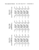 Large Aperture Zoom Optical System and Image Pickup Apparatus diagram and image