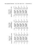 Large Aperture Zoom Optical System and Image Pickup Apparatus diagram and image