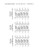 Large Aperture Zoom Optical System and Image Pickup Apparatus diagram and image