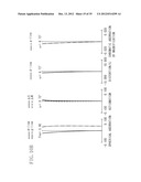 ZOOM LENS AND IMAGE PICKUP APPARATUS EQUIPPED WITH ZOOM LENS diagram and image