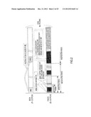 RADIO COMMUNICATION BASE STATION APPARATUS AND RADIO COMMUNICATION METHOD diagram and image