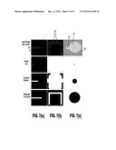 System and Method for Image Segmentation by Optimizing Weighted Curvature diagram and image