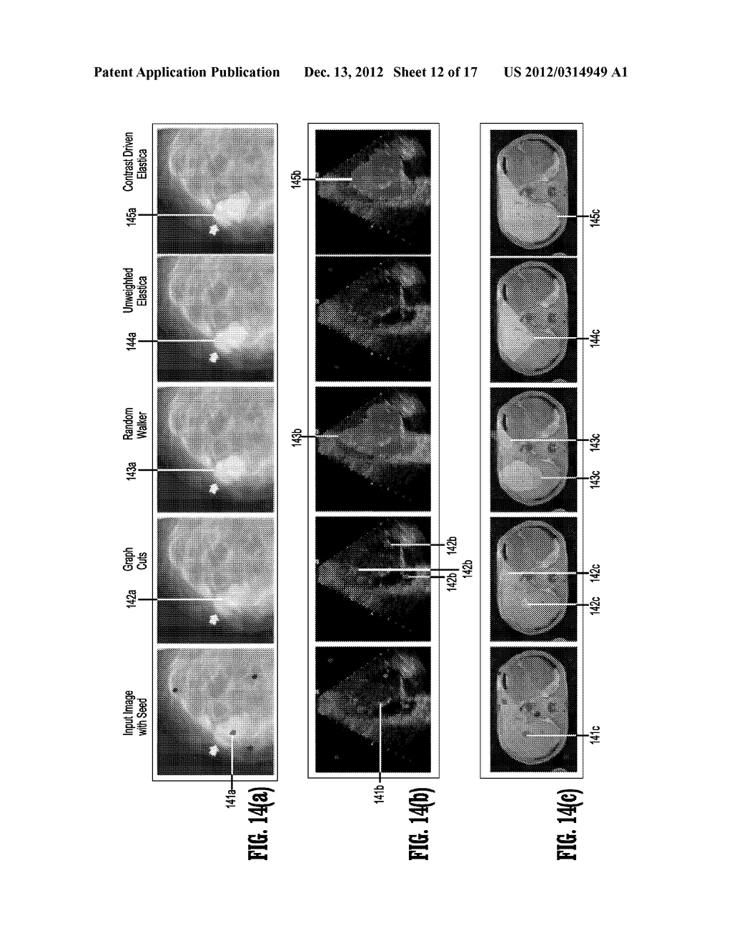 System and Method for Image Segmentation by Optimizing Weighted Curvature - diagram, schematic, and image 13