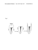 Anti-Bacterial and Mineralizing Calcium Phosphate Compositions diagram and image