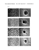 Anti-Bacterial and Mineralizing Calcium Phosphate Compositions diagram and image