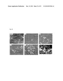 Anti-Bacterial and Mineralizing Calcium Phosphate Compositions diagram and image