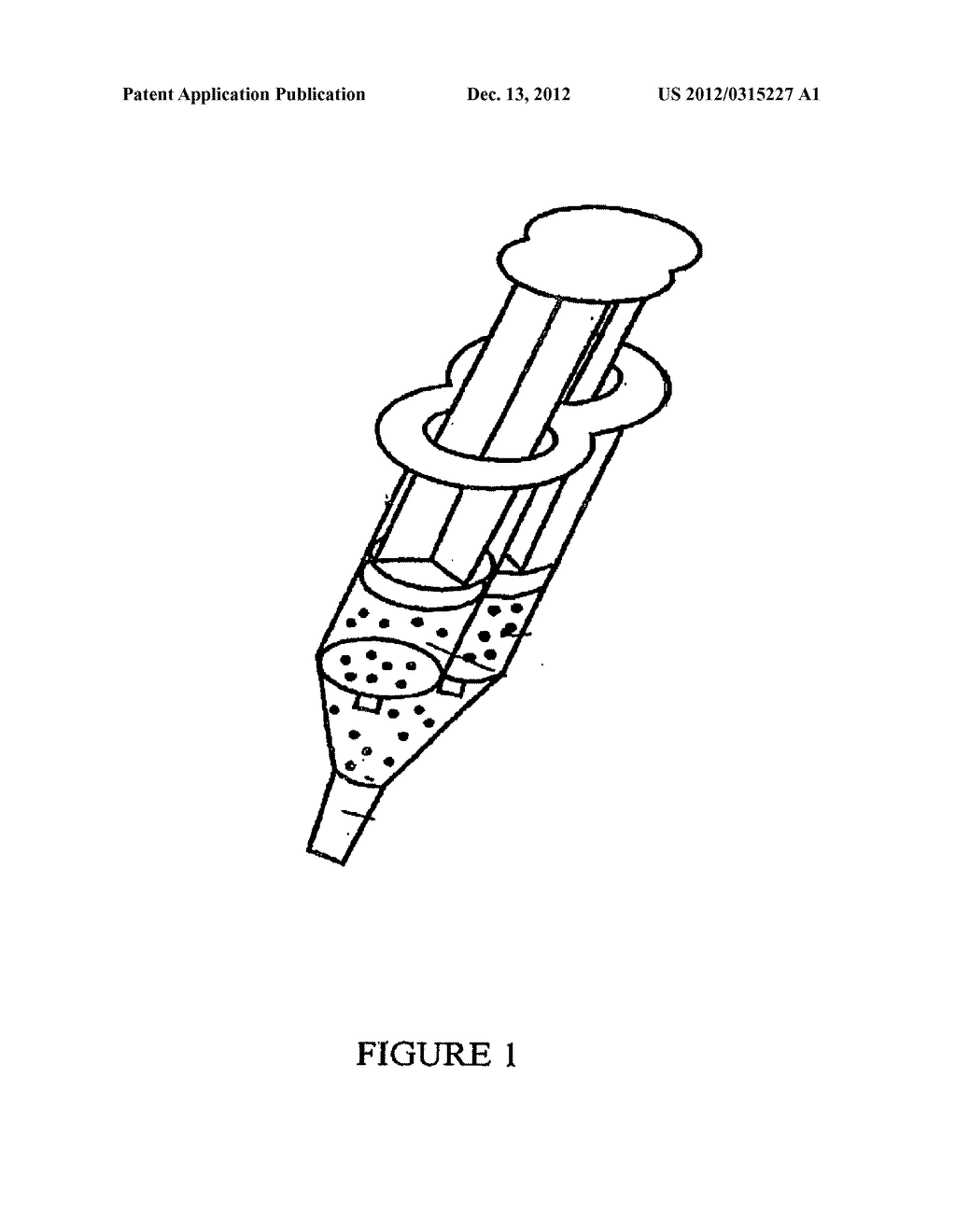 PERMANGANATE CONTAINING WHITENING COMPOSITIONS AND METHODS OF THEIR USE - diagram, schematic, and image 02