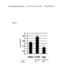 Methods for Modulation of Autophagy Through the Modulation of     Autophagy-Inhibiting Gene Products diagram and image