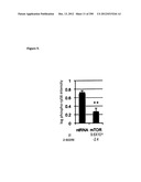 Methods for Modulation of Autophagy Through the Modulation of     Autophagy-Inhibiting Gene Products diagram and image