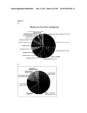 Methods for Modulation of Autophagy Through the Modulation of     Autophagy-Inhibiting Gene Products diagram and image