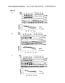 Methods for Modulation of Autophagy Through the Modulation of     Autophagy-Inhibiting Gene Products diagram and image