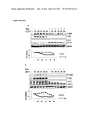 Methods for Modulation of Autophagy Through the Modulation of     Autophagy-Inhibiting Gene Products diagram and image