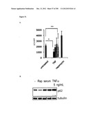 Methods for Modulation of Autophagy Through the Modulation of     Autophagy-Inhibiting Gene Products diagram and image