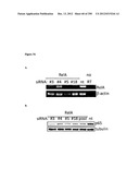 Methods for Modulation of Autophagy Through the Modulation of     Autophagy-Inhibiting Gene Products diagram and image