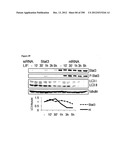 Methods for Modulation of Autophagy Through the Modulation of     Autophagy-Inhibiting Gene Products diagram and image