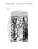 Methods for Modulation of Autophagy Through the Modulation of     Autophagy-Inhibiting Gene Products diagram and image