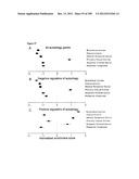 Methods for Modulation of Autophagy Through the Modulation of     Autophagy-Inhibiting Gene Products diagram and image