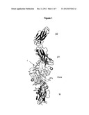STABILIZED OPEN FORM TRANSGLUTAMINASE AS A DIAGNOSTIC INDICTOR FOR     AUTOIMMUNE DISEASES diagram and image