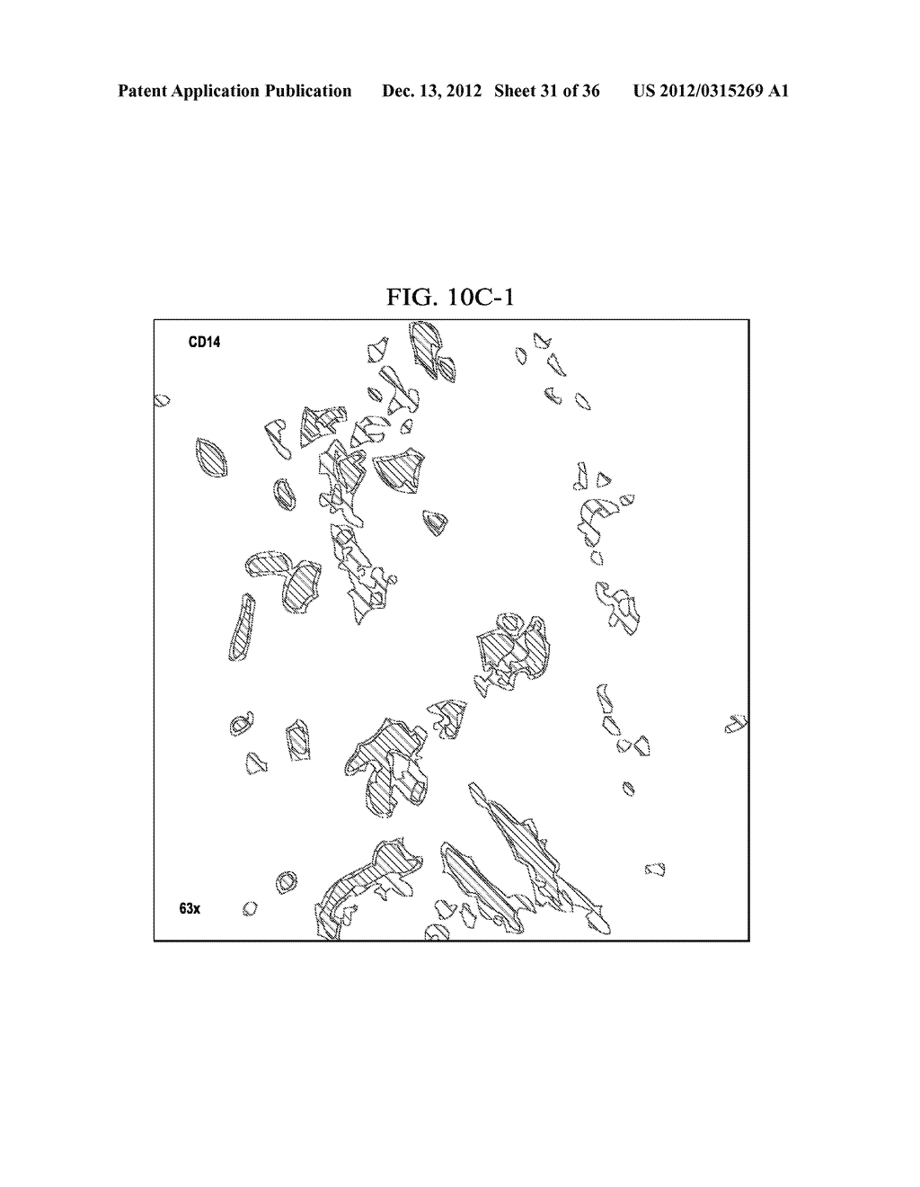 IMMUNOGLOBULIN-LIKE TRANSCRIPT (ILT) RECEPTORS AS CD8 ANTAGONISTS - diagram, schematic, and image 32