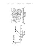 RSV IMMUNOGENS, ANTIBODIES AND COMPOSITIONS THEREOF diagram and image