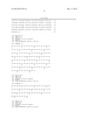 RSV IMMUNOGENS, ANTIBODIES AND COMPOSITIONS THEREOF diagram and image