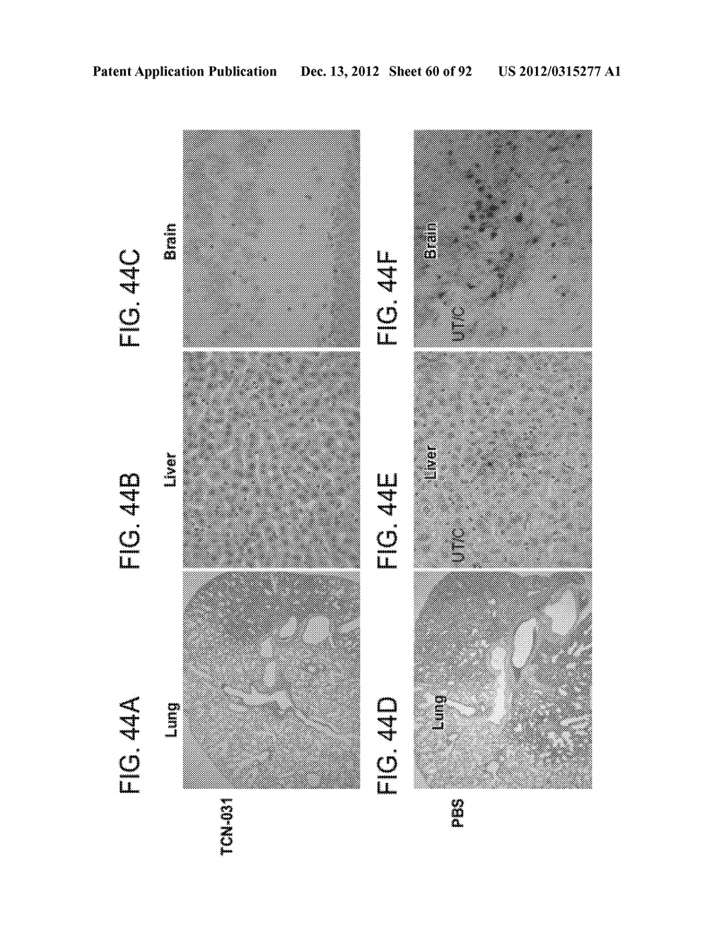 Compositions and Methods for the Therapy and Diagnosis of Influenza - diagram, schematic, and image 61