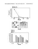 INHIBITORS OF LL-37 MEDIATED IMMUNE REACTIVITY TO SELF NUCLEIC ACIDS diagram and image