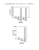 INHIBITORS OF LL-37 MEDIATED IMMUNE REACTIVITY TO SELF NUCLEIC ACIDS diagram and image