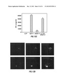 INHIBITORS OF LL-37 MEDIATED IMMUNE REACTIVITY TO SELF NUCLEIC ACIDS diagram and image