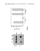 INHIBITORS OF LL-37 MEDIATED IMMUNE REACTIVITY TO SELF NUCLEIC ACIDS diagram and image