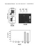 INHIBITORS OF LL-37 MEDIATED IMMUNE REACTIVITY TO SELF NUCLEIC ACIDS diagram and image