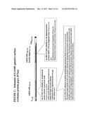 IMMUNOGENIC COMPOSITIONS FOR STREPTOCOCCUS PYOGENES diagram and image