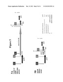 IMMUNOGENIC COMPOSITIONS FOR STREPTOCOCCUS PYOGENES diagram and image