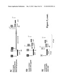 IMMUNOGENIC COMPOSITIONS FOR STREPTOCOCCUS PYOGENES diagram and image